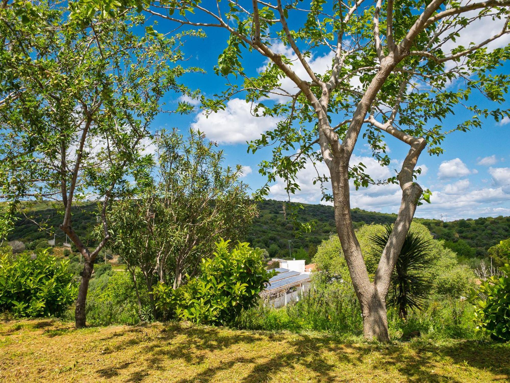 Agriturismo Guparza Позада Екстер'єр фото